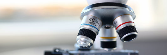 Wet AMD v. Dry AMD: What's The Difference?