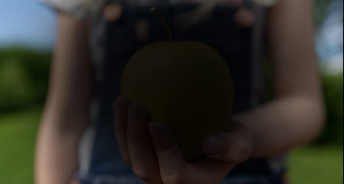 Effects of Age Related Macular Degeneration